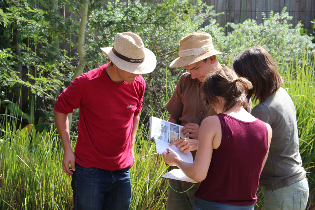 Students collaborating in a RRSI Core Course regenerative restoration practical.