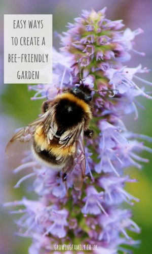 Easy-ways-to-create-a-bee-friendly-garden-2 Easy-ways-to-create-a-bee-friendly-garden-2